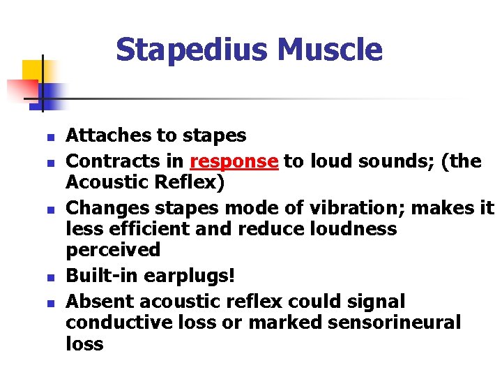 Stapedius Muscle n n n Attaches to stapes Contracts in response to loud sounds; Stapedius Muscle n n n Attaches to stapes Contracts in response to loud sounds;