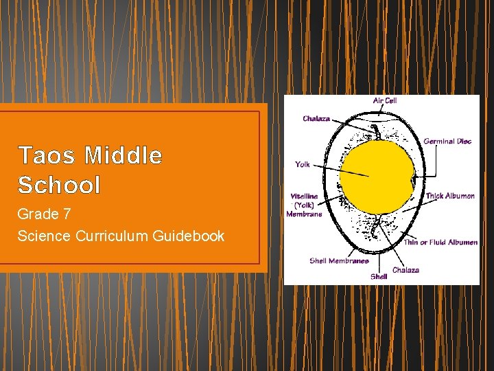 Taos Middle School Grade 7 Science Curriculum Guidebook 