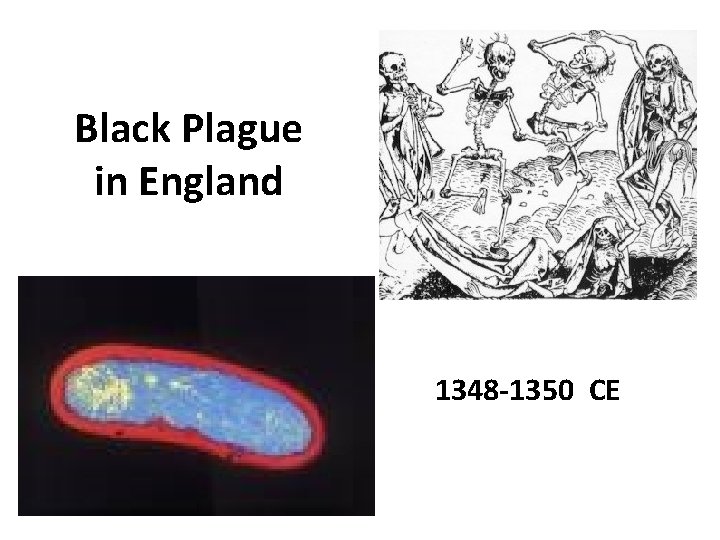 Black Plague in England 1348 -1350 CE 