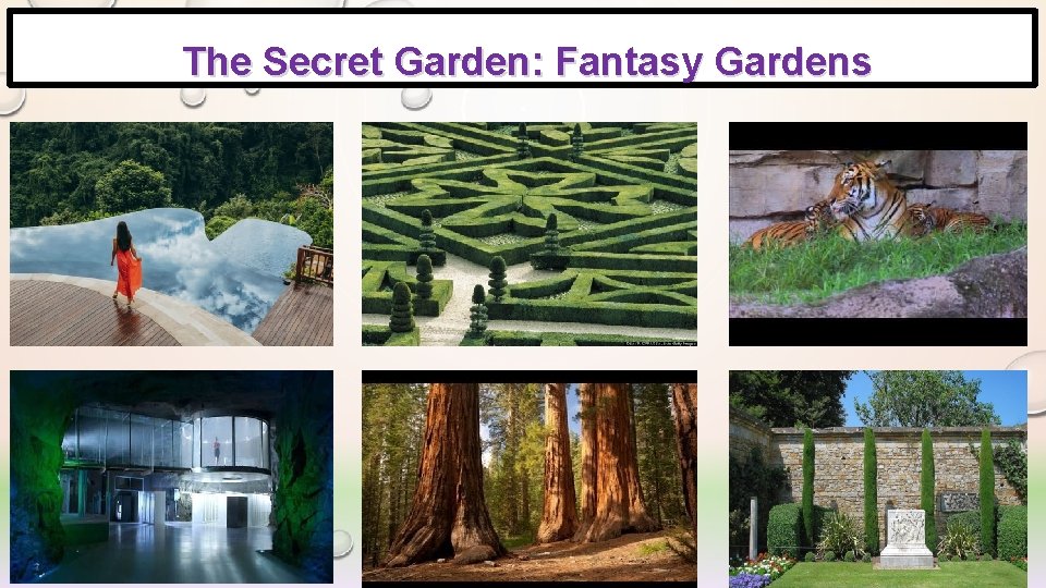 The Secret Garden: Fantasy Gardens The Secret Garden: Fantasy Gardens