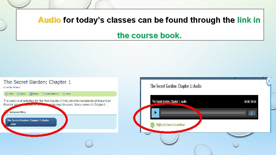 Audio for today’s classes can be found through the link in the course book. Audio for today’s classes can be found through the link in the course book.