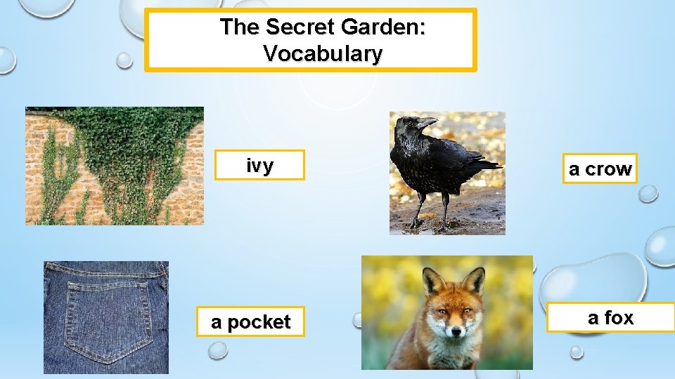 The Secret Garden: Vocabulary ivy a pocket a crow a fox The Secret Garden: Vocabulary ivy a pocket a crow a fox