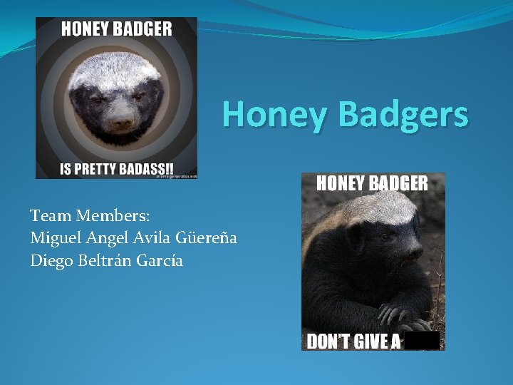 Honey Badgers Team Members: Miguel Angel Avila Güereña Diego Beltrán García 