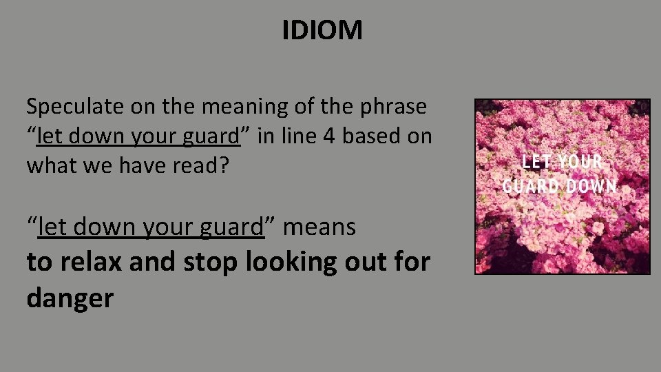 IDIOM Speculate on the meaning of the phrase “let down your guard” in line