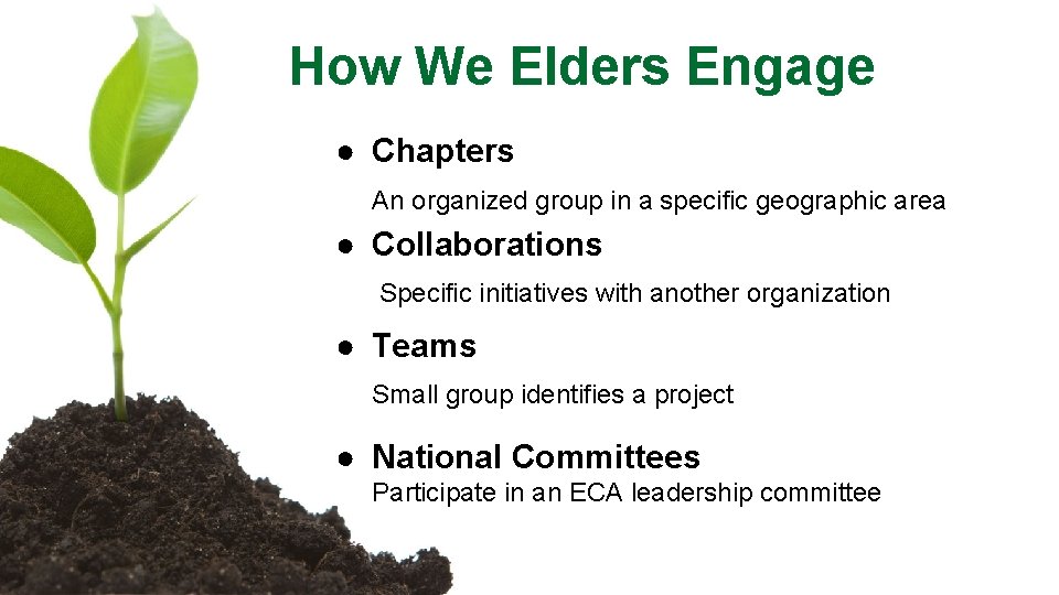 How We Elders Engage ● Chapters An organized group in a specific geographic area
