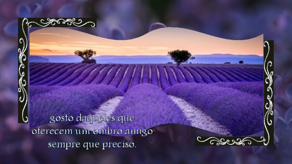 gosto daqueles que oferecem um ombro amigo sempre que preciso. 