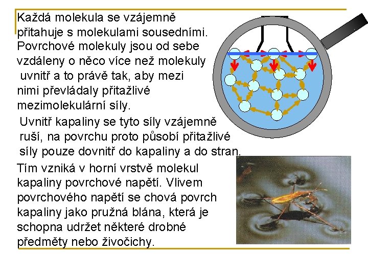 Každá molekula se vzájemně přitahuje s molekulami sousedními. Povrchové molekuly jsou od sebe vzdáleny