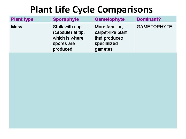 Plant Life Cycle Comparisons Plant type Sporophyte Gametophyte Dominant? Moss Stalk with cup (capsule) Plant Life Cycle Comparisons Plant type Sporophyte Gametophyte Dominant? Moss Stalk with cup (capsule)