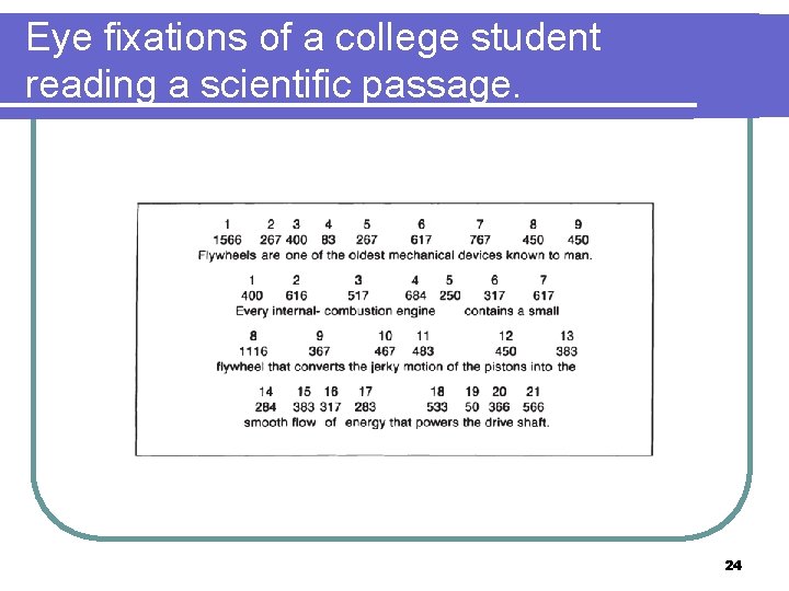 Eye fixations of a college student reading a scientific passage. 24 