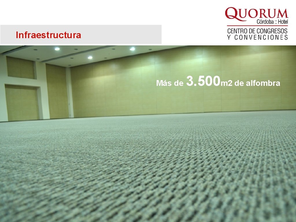 Infraestructura Más de 3. 500 m 2 de alfombra 