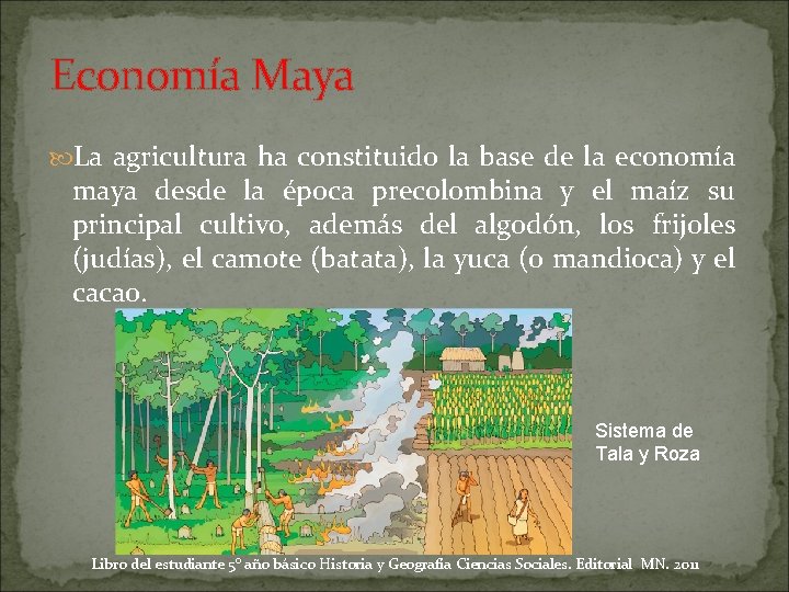 Economía Maya La agricultura ha constituido la base de la economía maya desde la