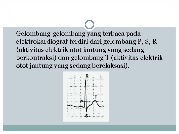 Gelombang-gelombang yang terbaca pada elektrokardiograf terdiri dari gelombang P, S, R (aktivitas elektrik otot