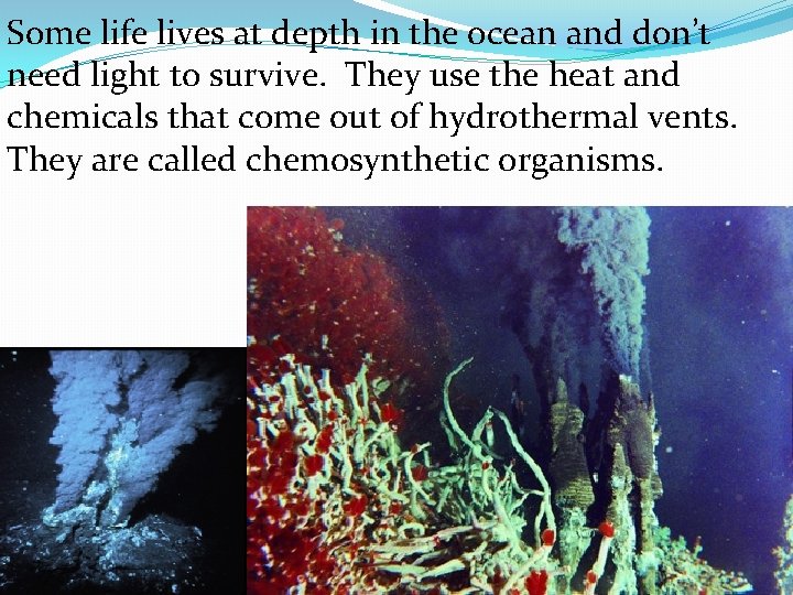 Some life lives at depth in the ocean and don’t need light to survive.