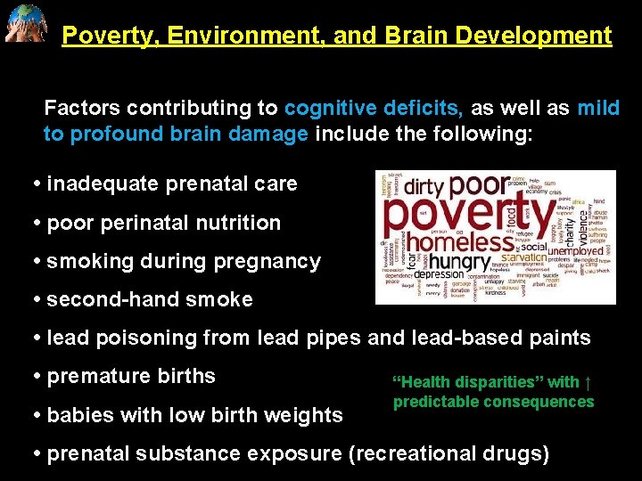 Poverty, Environment, and Brain Development Factors contributing to cognitive deficits, as well as mild