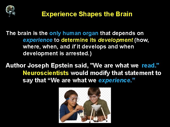 Experience Shapes the Brain The brain is the only human organ that depends on