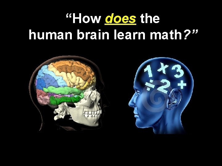 “How does the human brain learn math? ” 