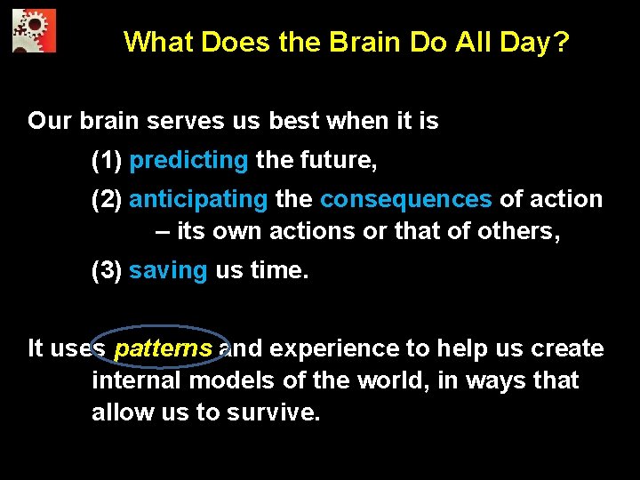 What Does the Brain Do All Day? Our brain serves us best when it
