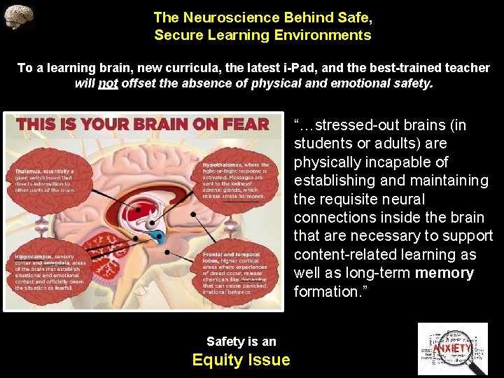 The Neuroscience Behind Safe, Secure Learning Environments To a learning brain, new curricula, the