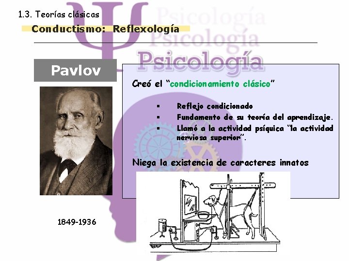 1. 3. Teorías clásicas Conductismo: Reflexología Pavlov Creó el “condicionamiento clásico” § § §