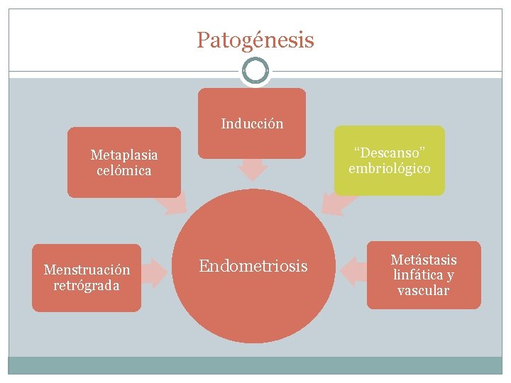 Patogénesis Inducción “Descanso” embriológico Metaplasia celómica Menstruación retrógrada Endometriosis Metástasis linfática y vascular 