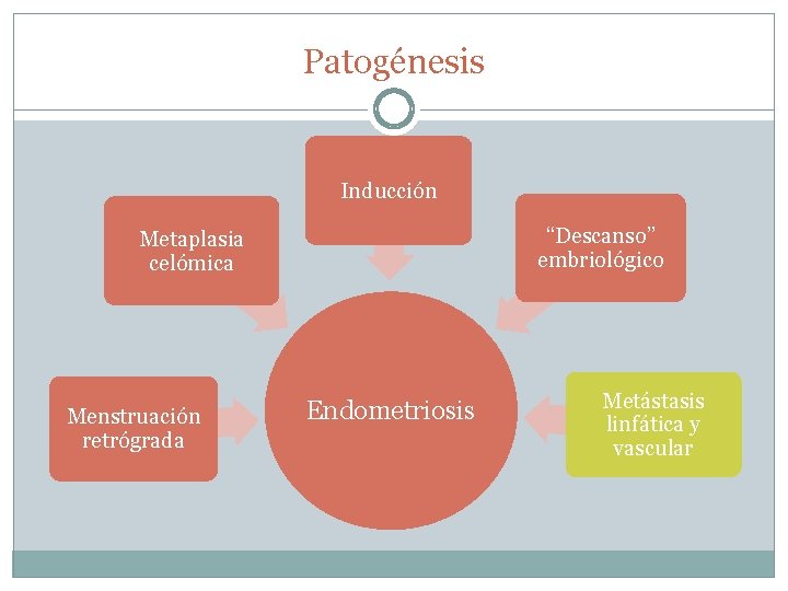 Patogénesis Inducción “Descanso” embriológico Metaplasia celómica Menstruación retrógrada Endometriosis Metástasis linfática y vascular 