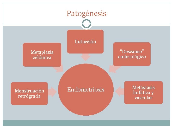 Patogénesis Inducción “Descanso” embriológico Metaplasia celómica Menstruación retrógrada Endometriosis Metástasis linfática y vascular 