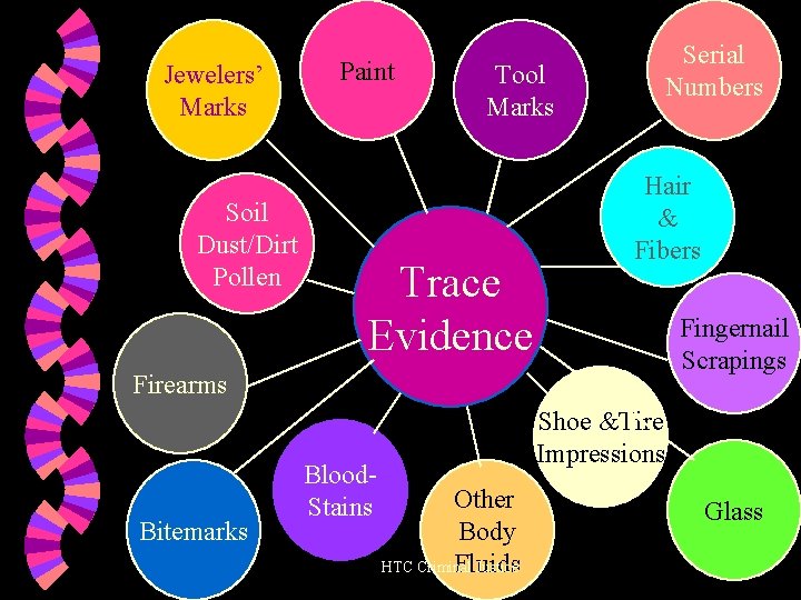 Jewelers’ Marks Soil Dust/Dirt Pollen Paint Serial Numbers Tool Marks Trace Evidence Hair &