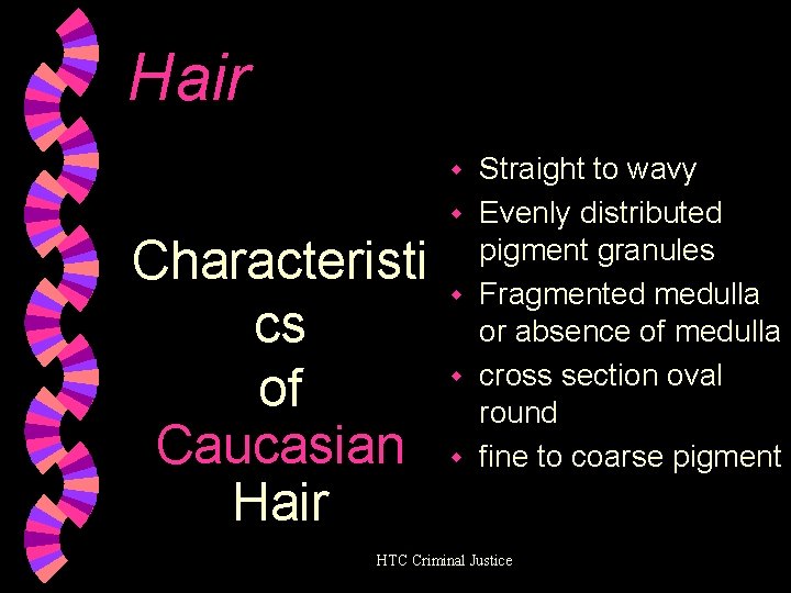 Hair w w Characteristi cs of Caucasian Hair w w w Straight to wavy