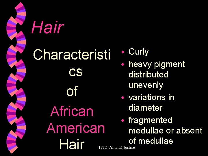 Hair Characteristi cs of African American Hair Curly w heavy pigment distributed unevenly w