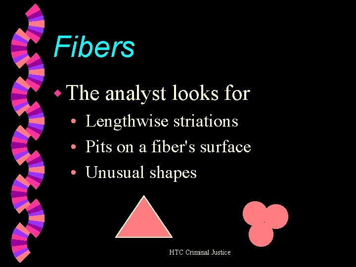 Fibers w The analyst looks for • Lengthwise striations • Pits on a fiber's
