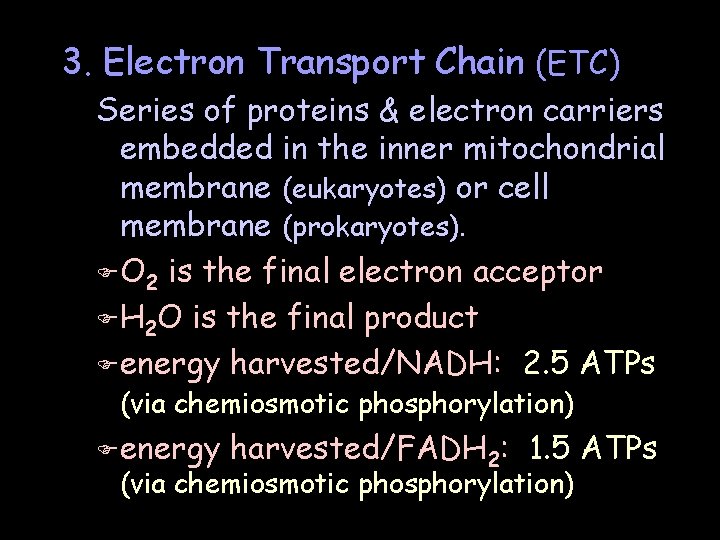 3. Electron Transport Chain (ETC) Series of proteins & electron carriers embedded in the