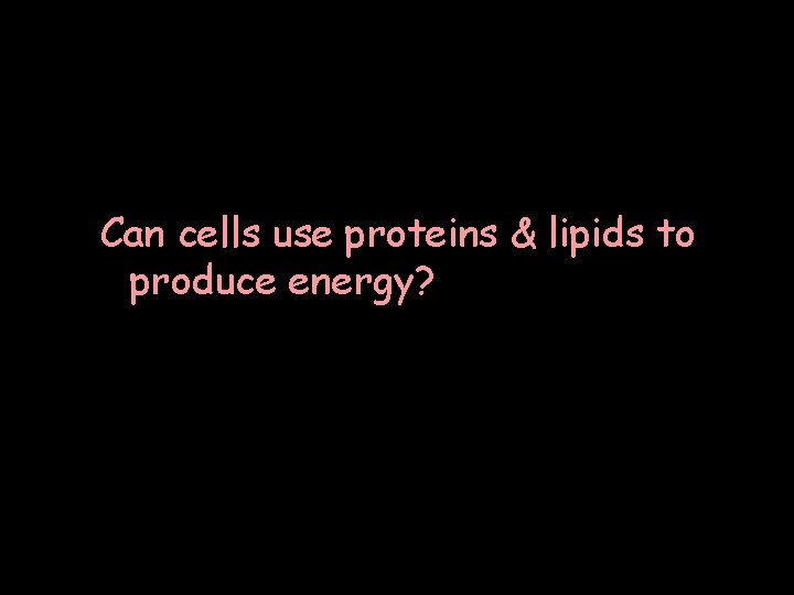 Can cells use proteins & lipids to produce energy? 