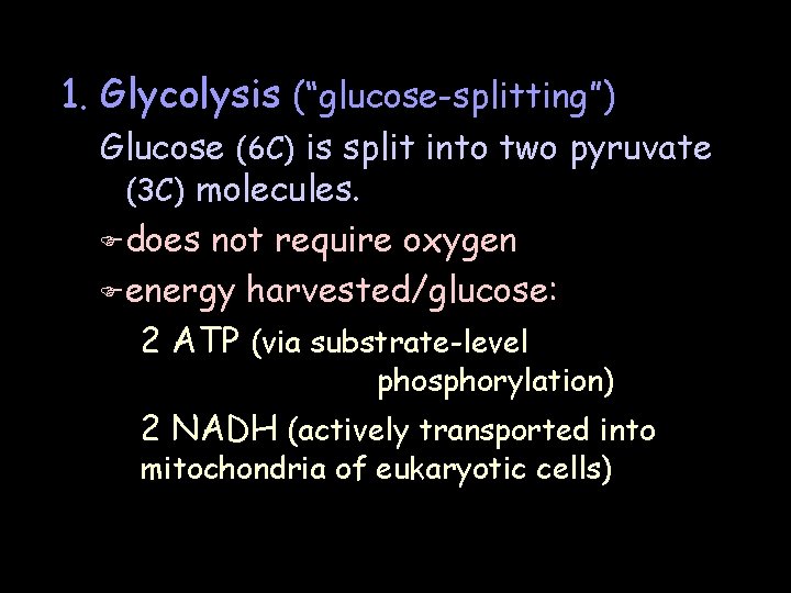 1. Glycolysis (“glucose-splitting”) Glucose (6 C) is split into two pyruvate (3 C) molecules.