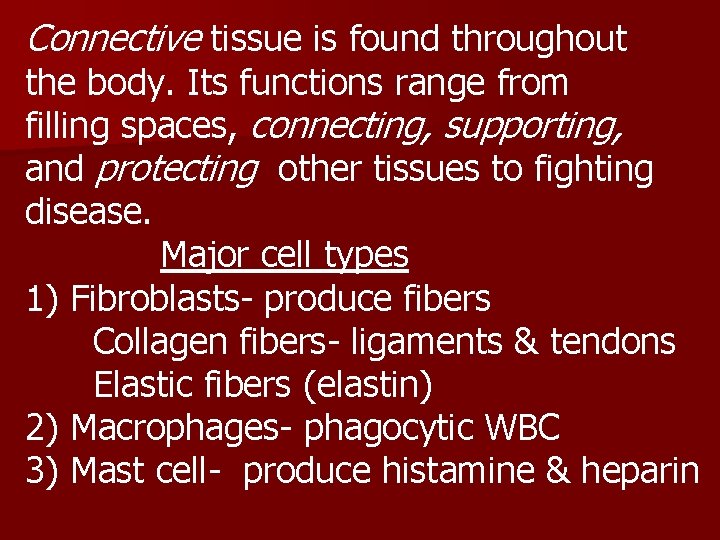 Connective tissue is found throughout the body. Its functions range from filling spaces, connecting,