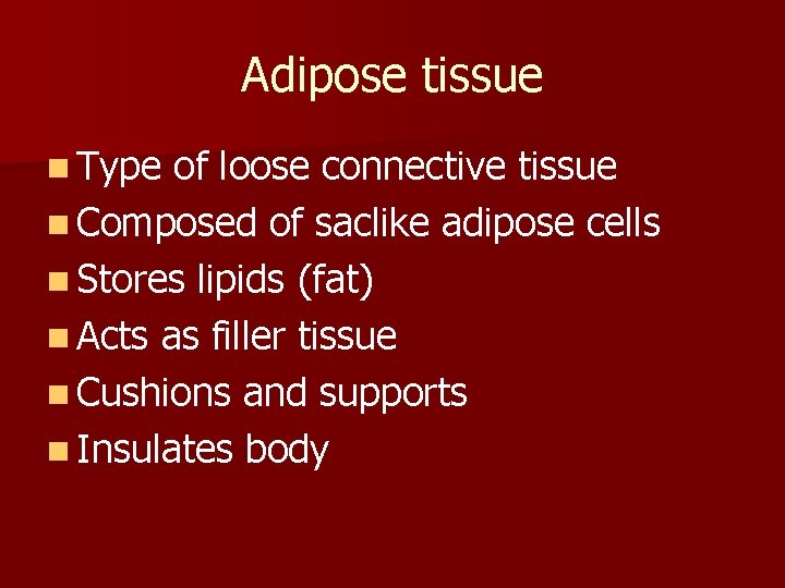 Adipose tissue n Type of loose connective tissue n Composed of saclike adipose cells