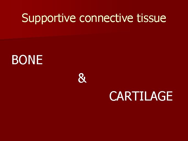 Supportive connective tissue BONE & CARTILAGE 