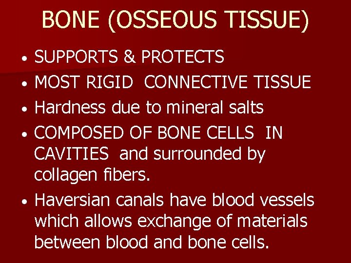 BONE (OSSEOUS TISSUE) • • • SUPPORTS & PROTECTS MOST RIGID CONNECTIVE TISSUE Hardness