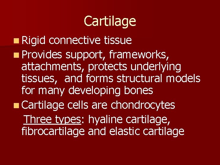 Cartilage n Rigid connective tissue n Provides support, frameworks, attachments, protects underlying tissues, and
