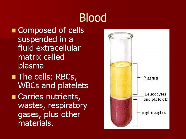 Blood n Composed of cells suspended in a fluid extracellular matrix called plasma n