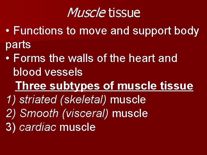 Muscle tissue • Functions to move and support body parts • Forms the walls