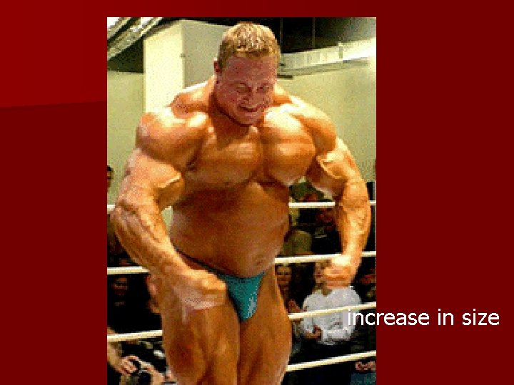 increase in size 