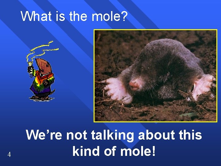 What is the mole? 4 We’re not talking about this kind of mole! 