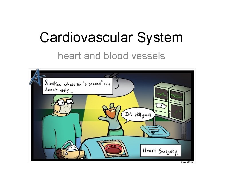 Cardiovascular System heart and blood vessels 