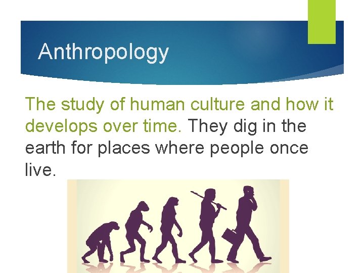 Anthropology The study of human culture and how it develops over time. They dig