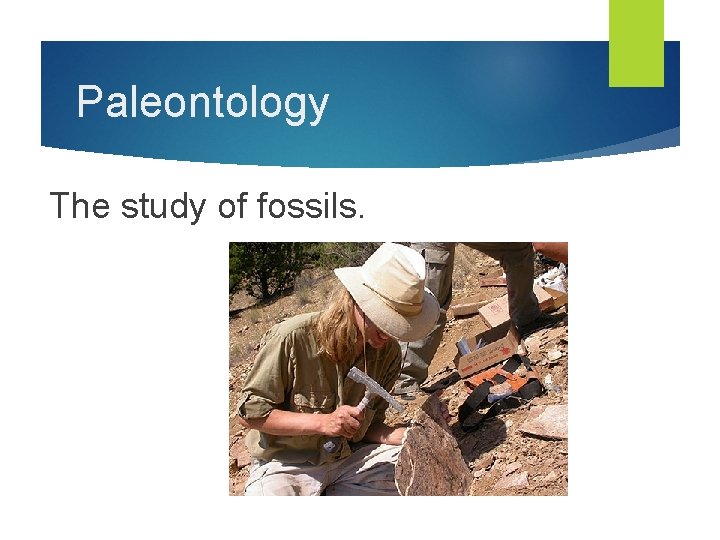 Paleontology The study of fossils. 