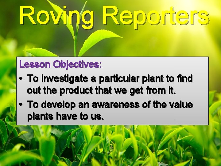 Roving Reporters Lesson Objectives: • To investigate a particular plant to find out the