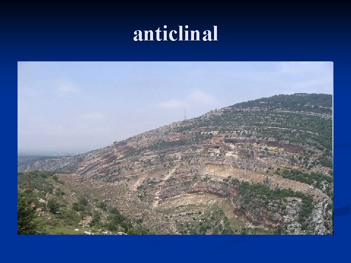 anticlinal 