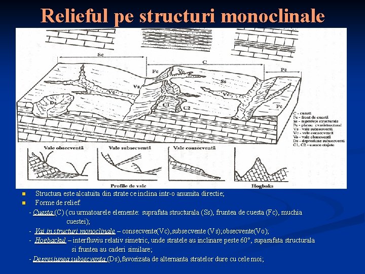 Relieful pe structuri monoclinale n n Structura este alcatuita din strate ce inclina intr-o