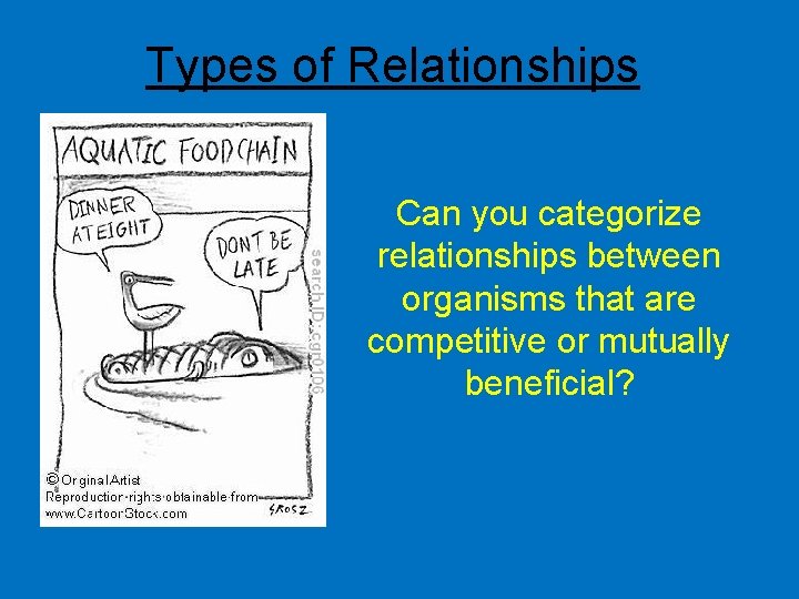 Types of Relationships Can you categorize relationships between organisms that are competitive or mutually