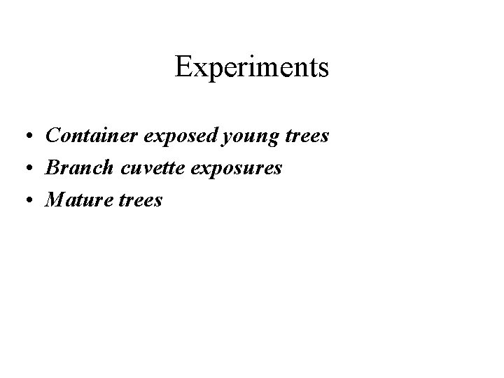 Experiments • Container exposed young trees • Branch cuvette exposures • Mature trees 